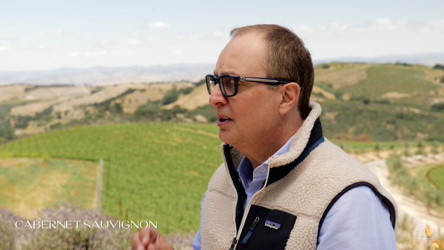 DAOU tasting notes Cabernet Sauvignon